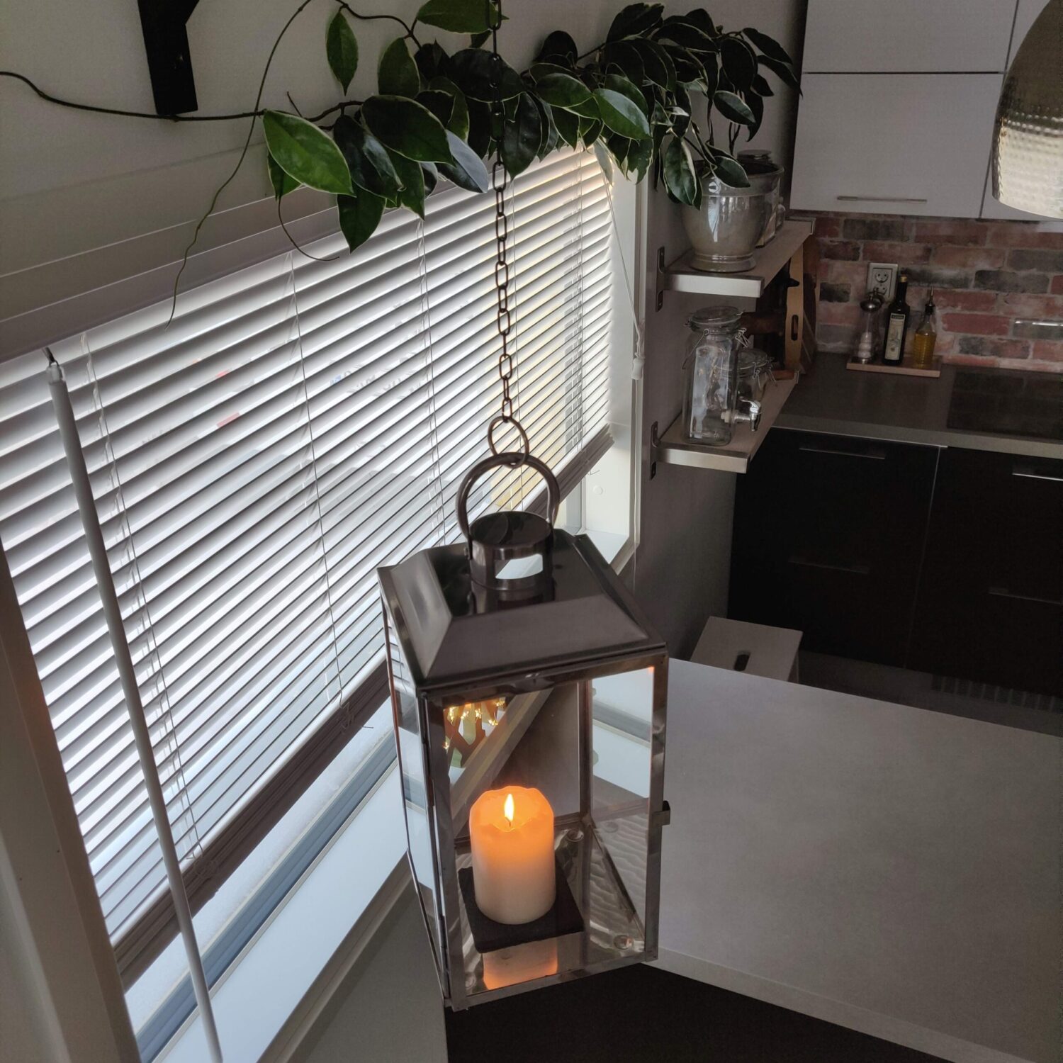 Jouluasetelmia ja viherkasveja